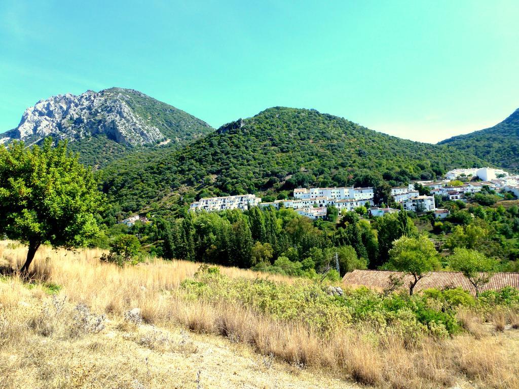 Casa Rural El Aljibe Benamahoma Buitenkant foto