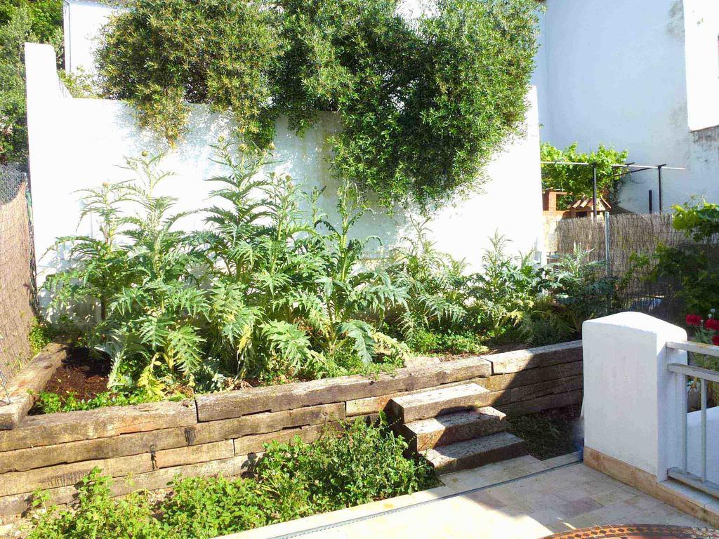 Casa Rural El Aljibe Benamahoma Buitenkant foto